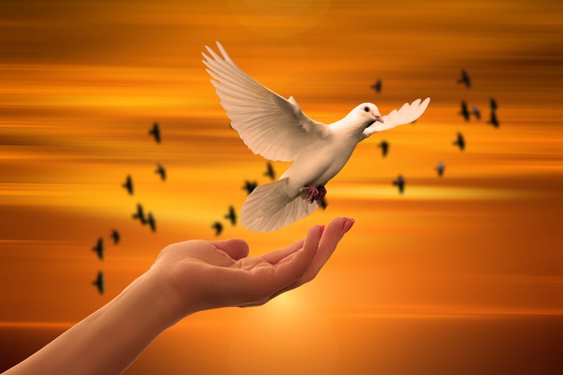 Emotional release through dance